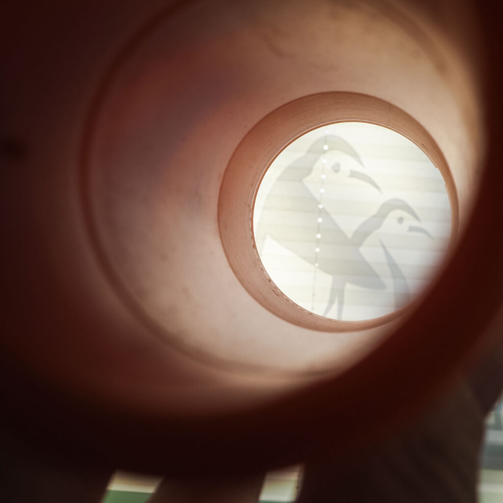 Eine besondere Perspektive fängt die Pinguine aus unserem Logo ein